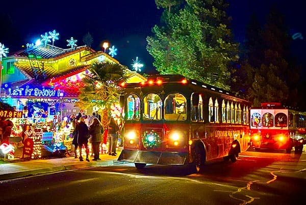 Lights of Lodi Wine Tour