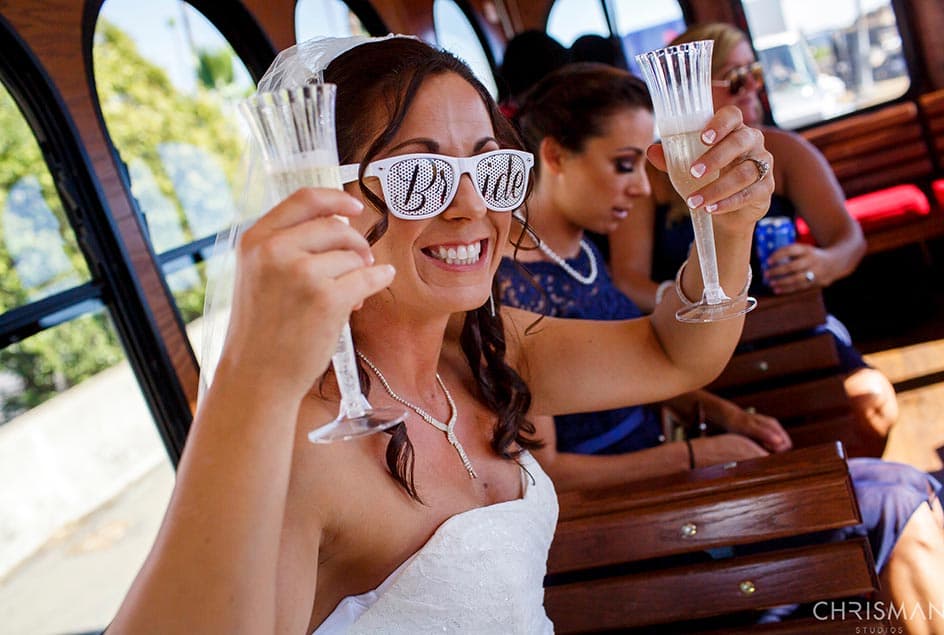 22 Passenger Lodi Wine Trolley detail 1